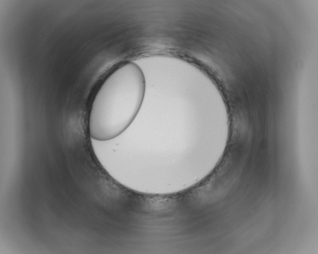 X0000110981314200906191042