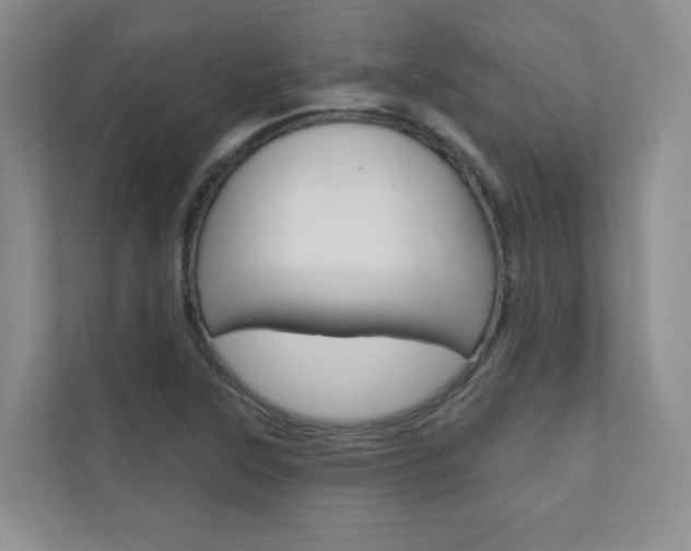 X0000110981315200906191042