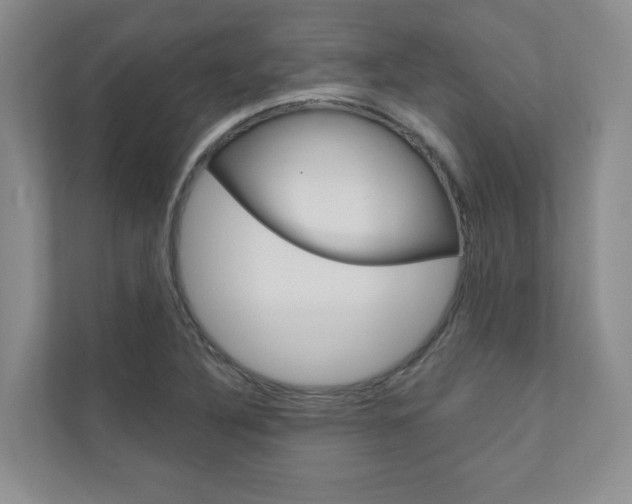 X0000110981316200906191042