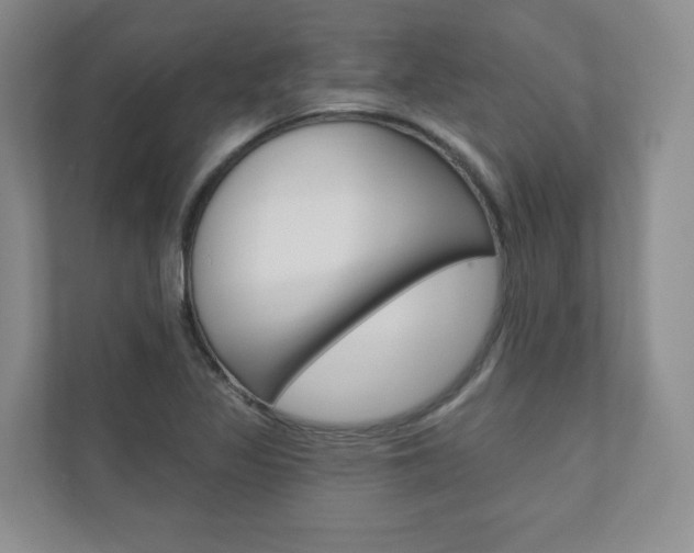 X0000110981317200906191042
