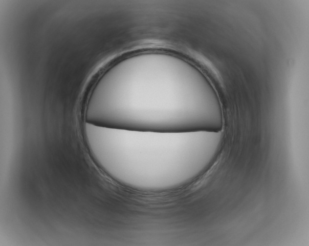 X0000110981318200906191042