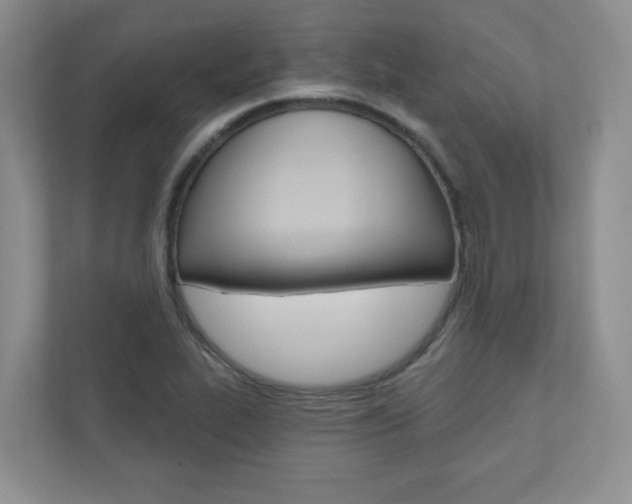 X0000110981319200906191042