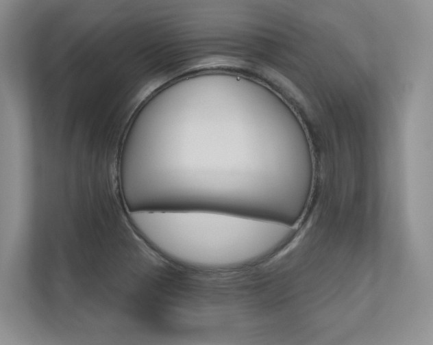 X0000110981321200906191042