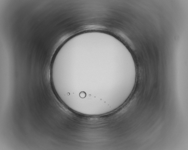 X0000110981322200906191042