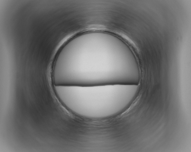 X0000110981325200906191042