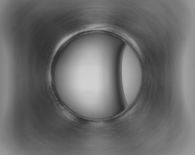X0000110981328200906191042