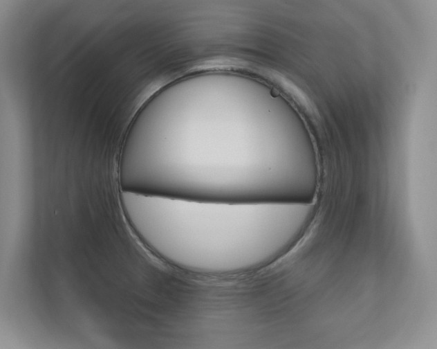 X0000110981329200906191042