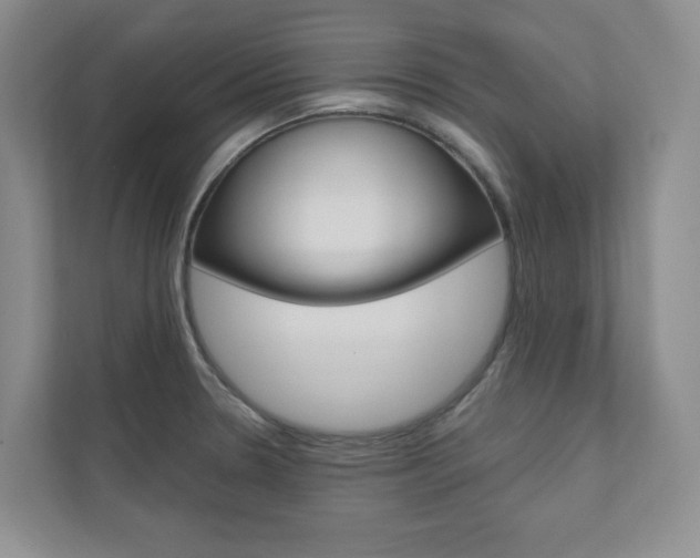 X0000110981330200906191042