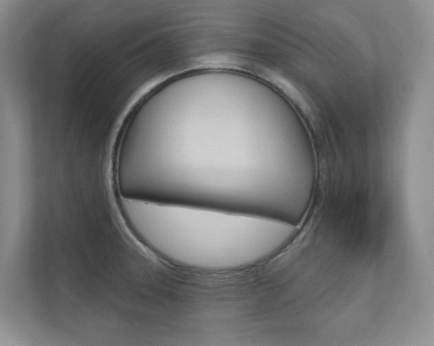 X0000110981331200906191042