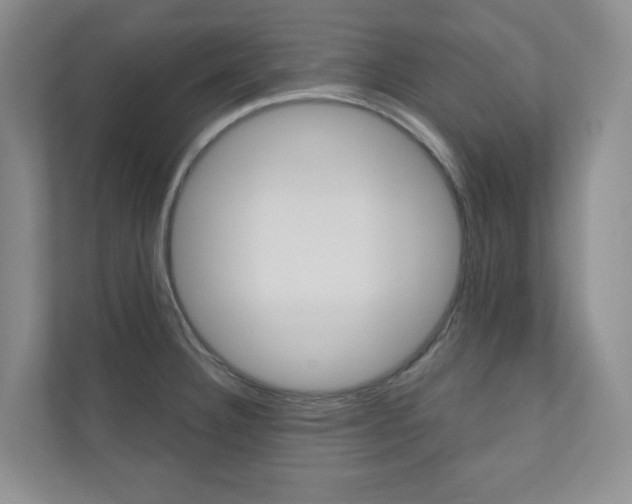X0000110981332200906191042