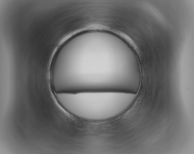 X0000110981335200906191042