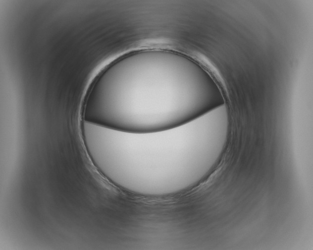 X0000110981336200906191043