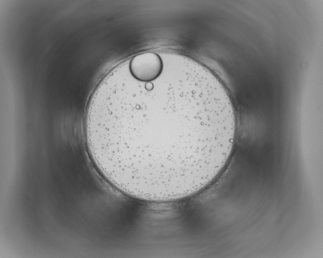 X0000110981338200906191043
