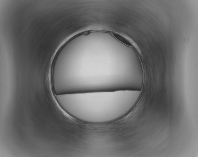 X0000110981343200906191043