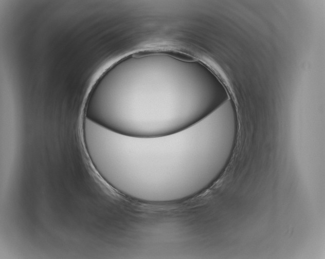 X0000110981344200906191043