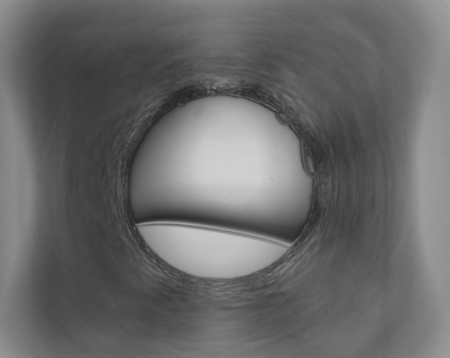 X0000110981345200906191042