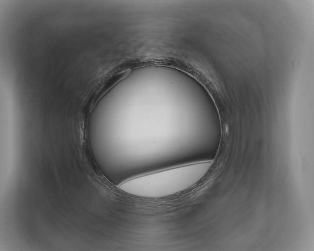 X0000110981348200906191042