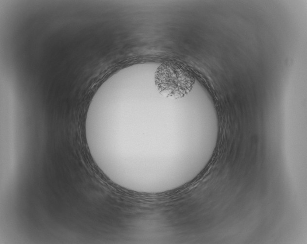 X0000110981349200906191042
