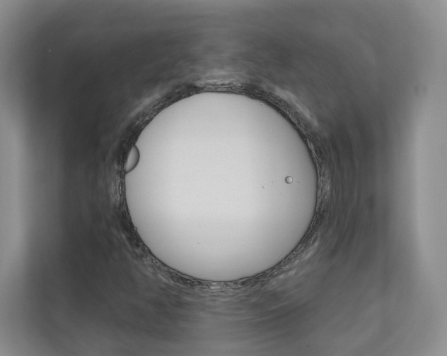 X0000110981350200906191042