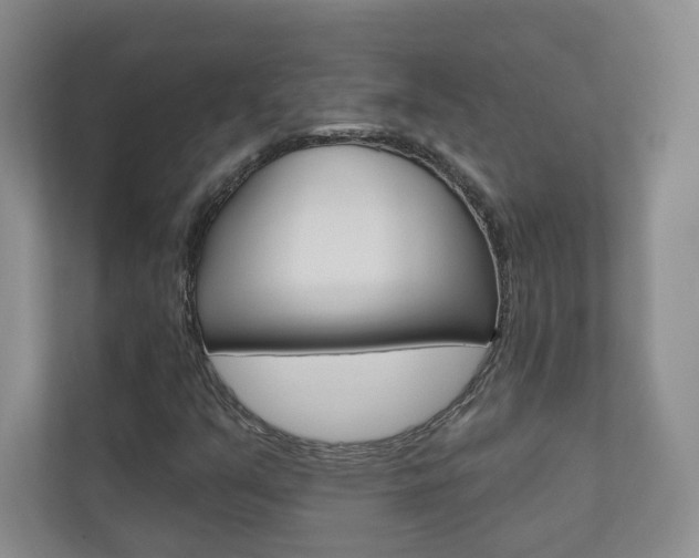 X0000110981351200906191042