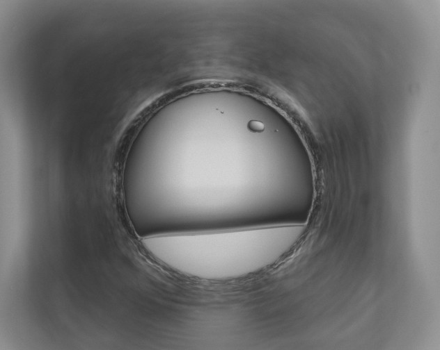 X0000110981352200906191042