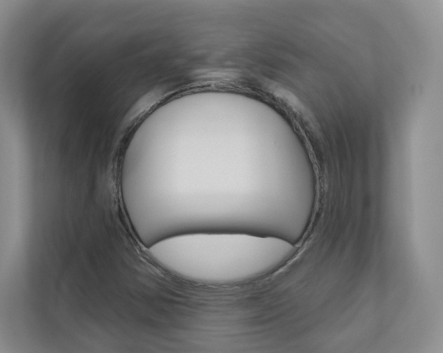 X0000110981354200906191042