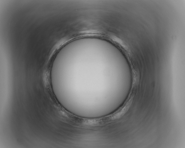 X0000110981357200906191042