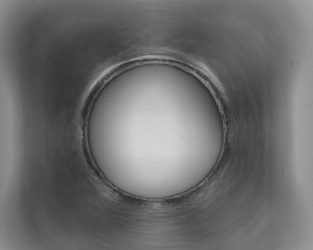 X0000110981360200906191042