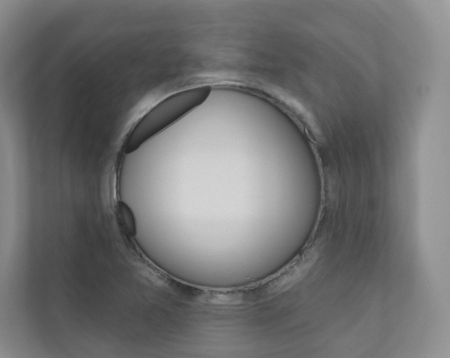 X0000110981365200906191042