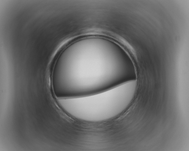 X0000110981368200906191042