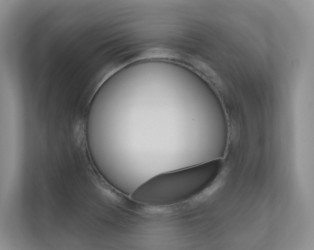 X0000110981369200906191042
