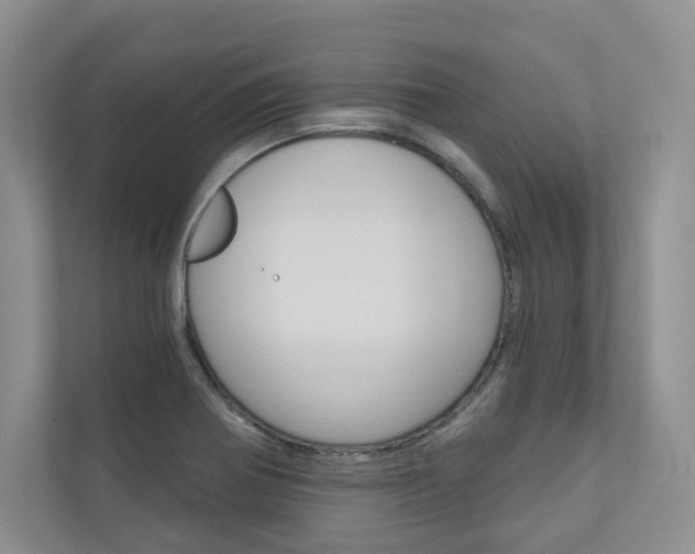 X0000110981370200906191042