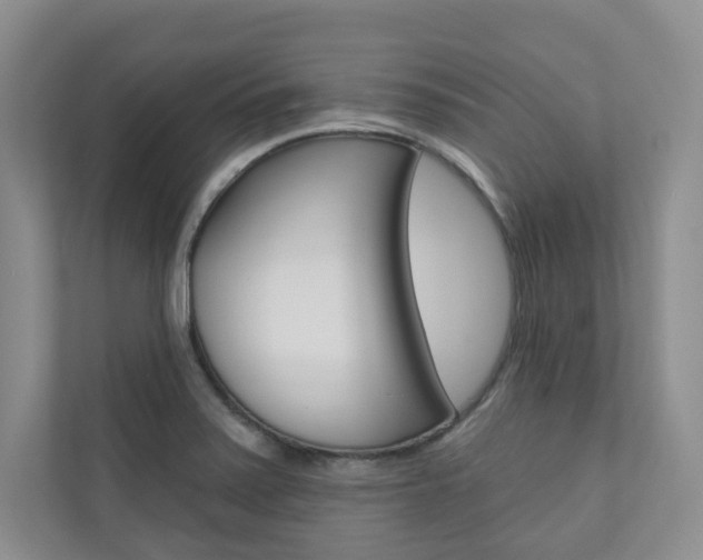 X0000110981371200906191042
