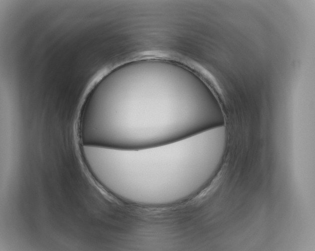 X0000110981373200906191042