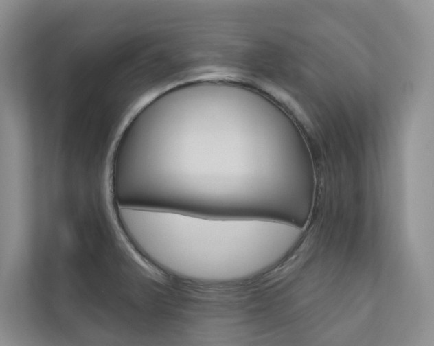 X0000110981375200906191042