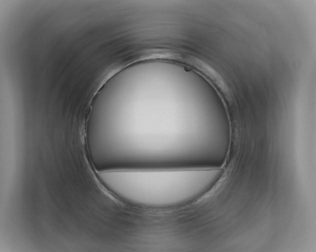 X0000110981377200906191042
