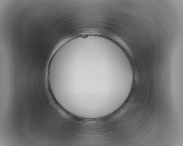 X0000110981378200906191042