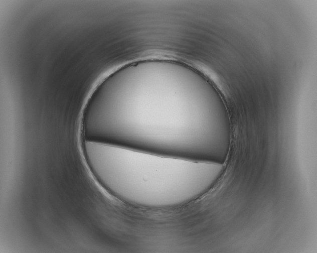 X0000110981379200906191042