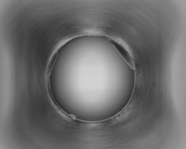 X0000110981381200906191042