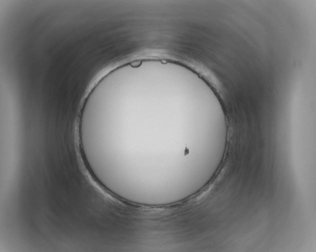 X0000110981382200906191042