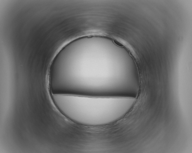X0000110981383200906191041