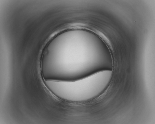 X0000110981384200906191041