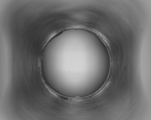 X0000110981385200906191041