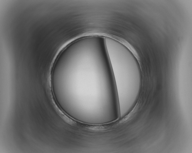 X0000110981388200906191041