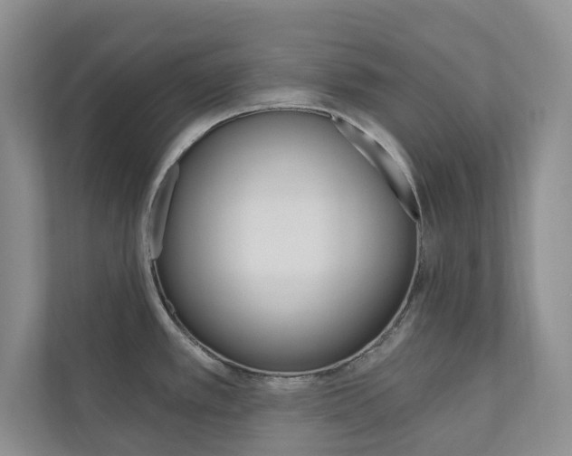 X0000110981389200906191041