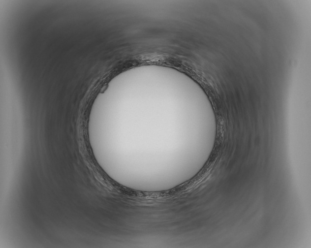 X0000110981393200906191041
