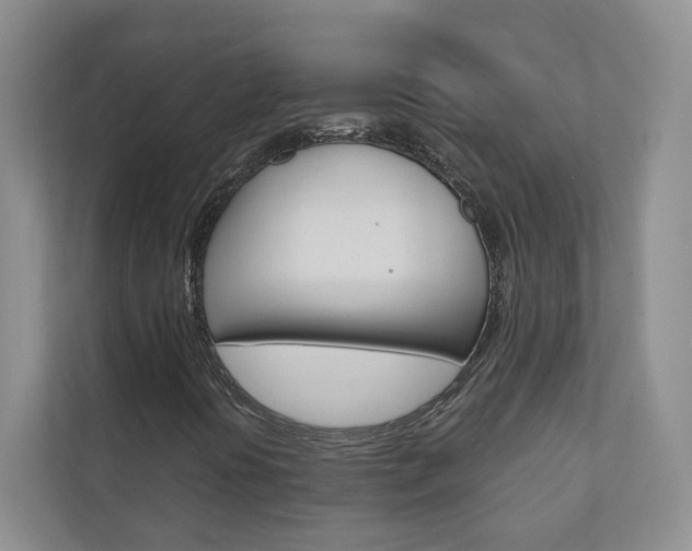 X0000110981394200906191041