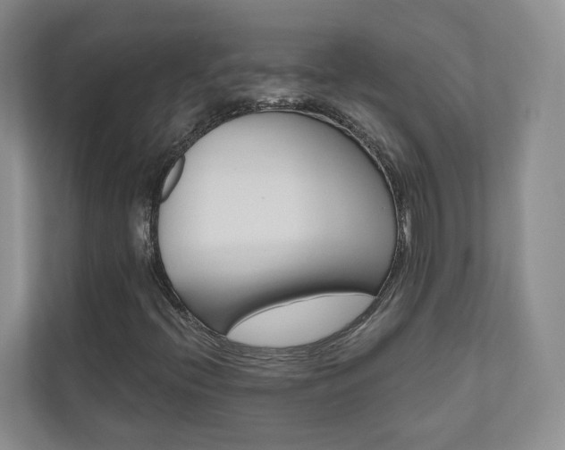 X0000110981396200906191041
