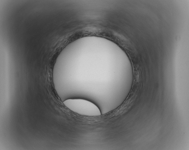 X0000110981397200906191041