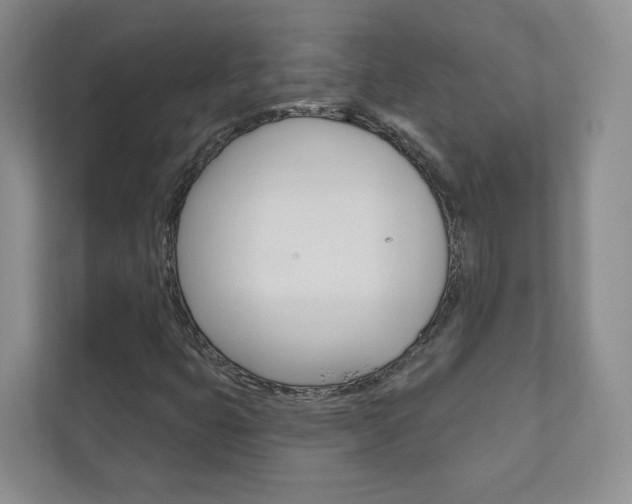 X0000110981399200906191041